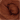 Hazelnut