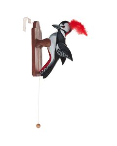 Woodpecker