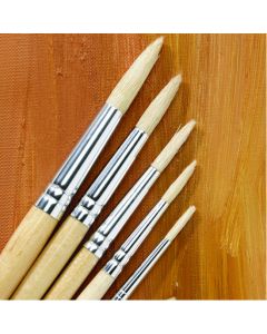 Essentials Long Handled Round Hog Brush Bulk Pack. Pack of 45