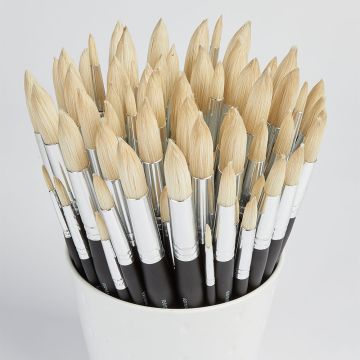Specialist Crafts Artist Round Hog Brush Bulk Pack