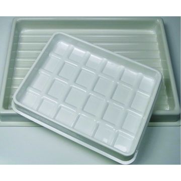 Plastic Trays 
