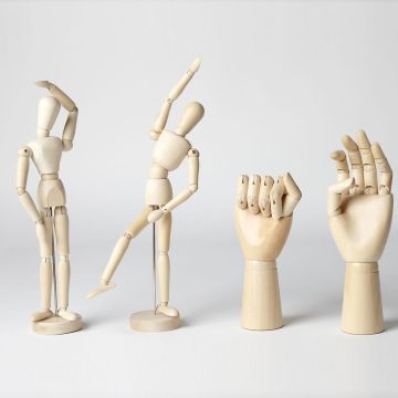 Anatomical Figures Assortment. Pack of 4