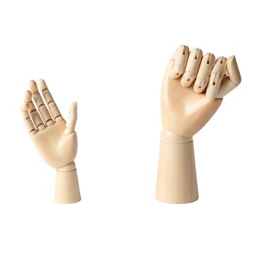 Anatomical Hands