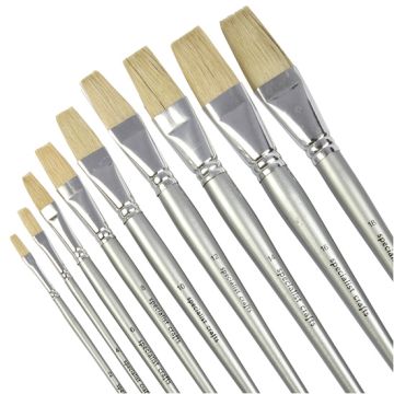 Student Short Silver Handled Flat Hog Brush Bulk Pack