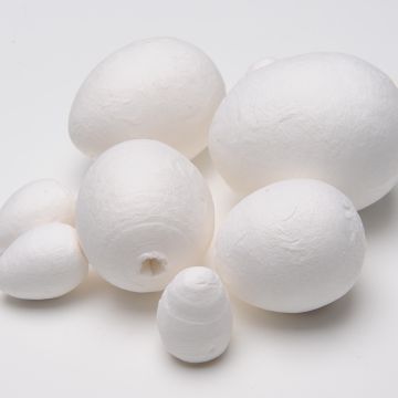 Paper Eggs Pack