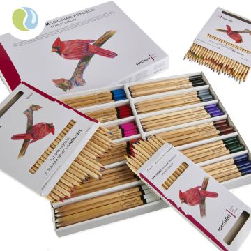 Spectrum Colour Pencil Sets