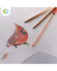 Drawing Cartridge 100gsm