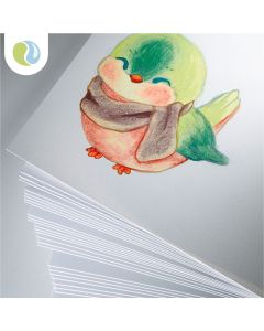 Heavyweight Cartridge Paper 220gsm