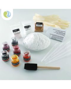 Procion mx Dye Starter Set