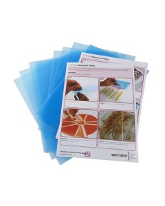 Monoprint Plates
