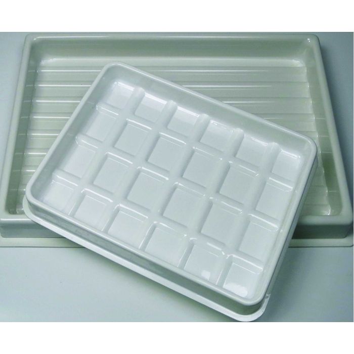 Plastic Trays 