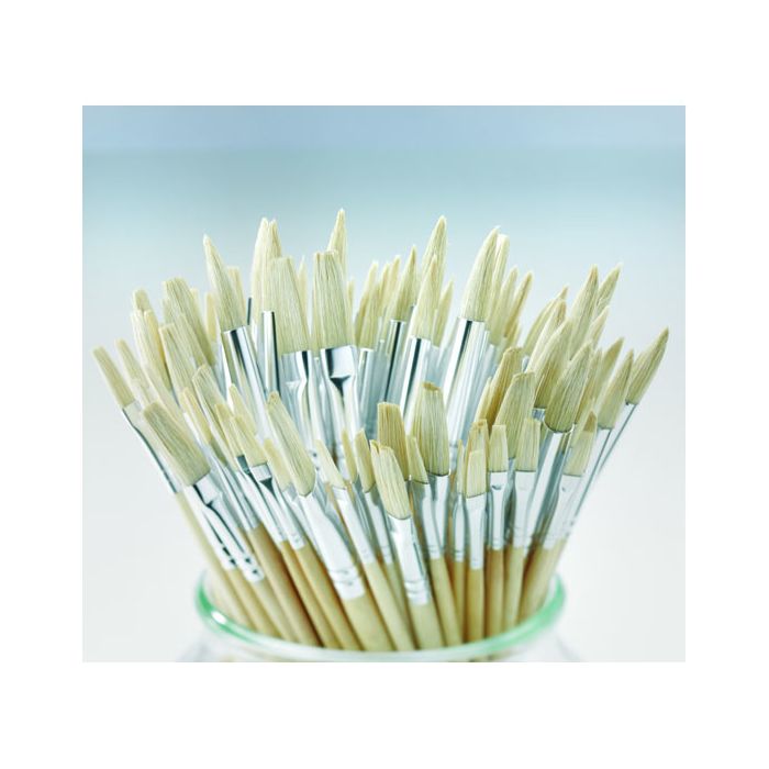 Essential Short Handled Hog Class Pack. Pack of 90