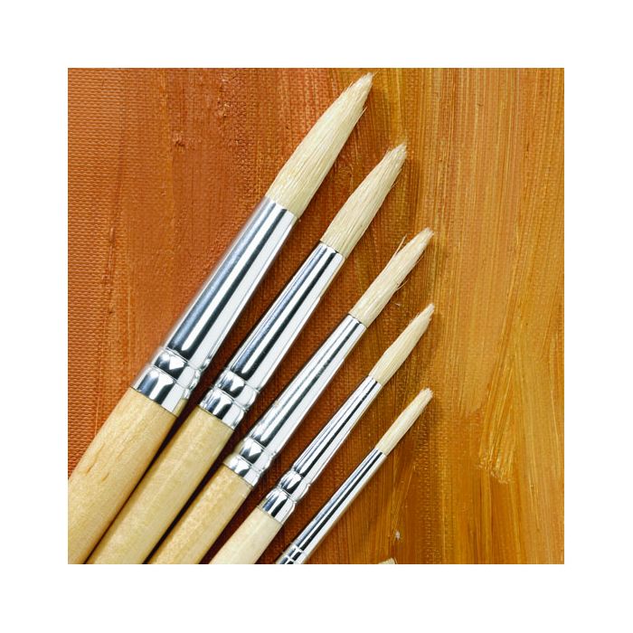Essentials Long Handled Round Hog Brush Bulk Pack. Pack of 45