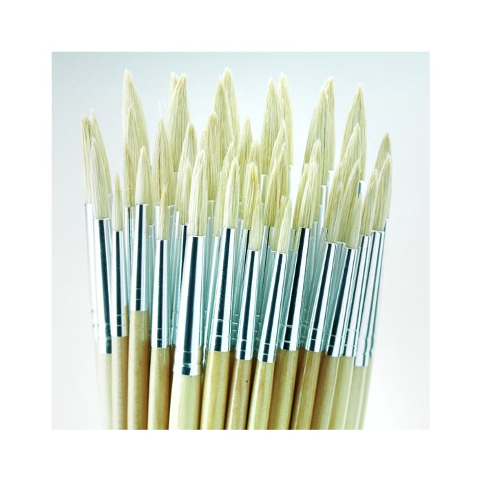 Essential Round Hog Brush Bulk Pack. Pack of 45