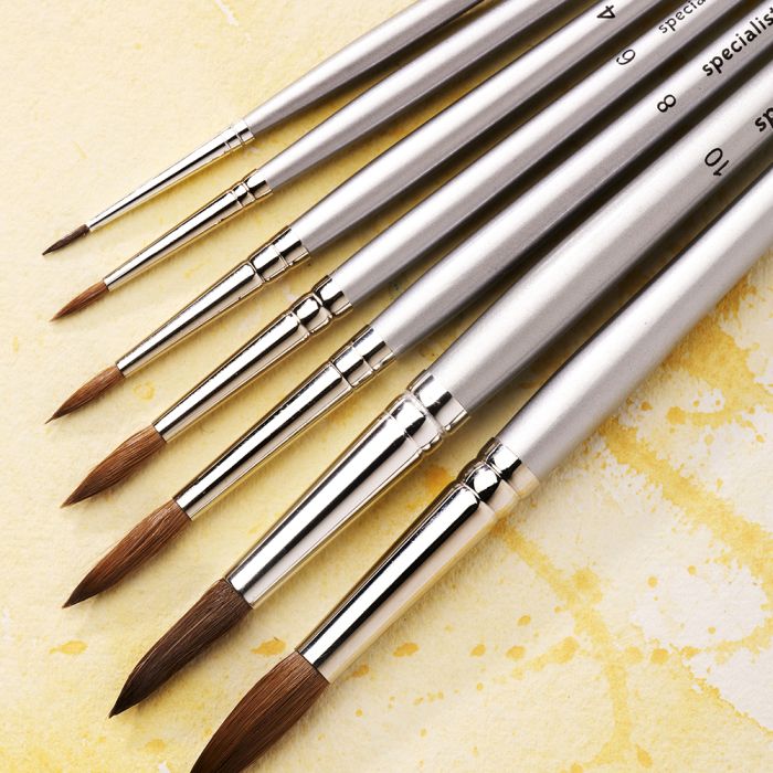 Student Short Silver Handled Pony Round Brushes