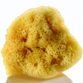 Sso Sponge Artists' Sponge | Specialist Crafts